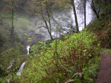 This Silver Falls, which resides at the end of the Coos River Highway some 24 miles northeast of the coastal city of Coos Bay would be a major draw in most other places around the...