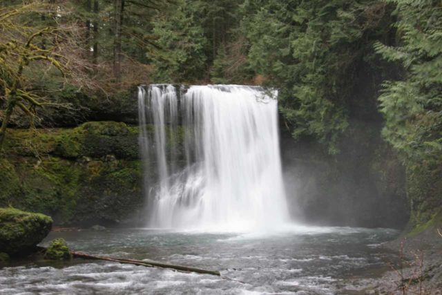 Silver_Falls_075_03312009 - Upper North Falls in Silver Falls State Park