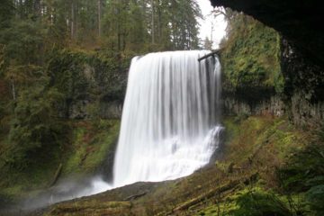 Middle North Falls took us by surprise as we had expected more dinky waterfalls in the central region of Silver Falls State Park.  Instead, this impressive 106ft waterfall...