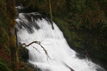 Drake Falls is a pretty diminutive 27ft falls requiring the use of an overlooking viewing deck protruding from the cliff to get a view of it.  You can find this one about 0.2 miles...