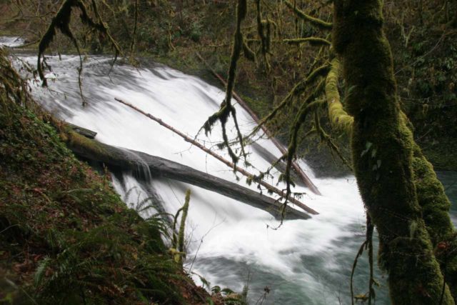Silver_Falls_190_03312009 - Lower North Falls in Silver Falls State Park