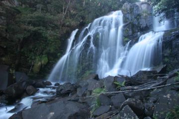 Snobs Creek Falls (also known as just Snobs Falls) was a surprisingly reliably flowing waterfall that seemed to have defied the drought-stricken conditions that plagued most of our first visit...