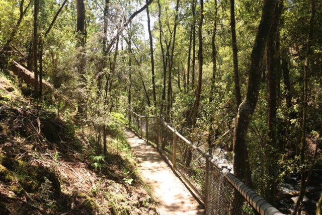 Snobs_Creek_Falls_17_015_11202017 - Descending to some cascades upstream of Snobs Creek Falls