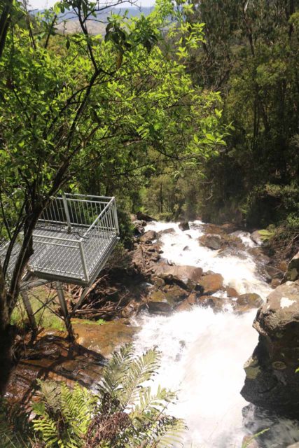 Snobs_Creek_Falls_17_036_11202017 - Instead of this viewing platform, the old trail used to let us descend alongside Snobs Creek Falls and even get in front of these tiers
