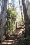 Snobs_Creek_Falls_17_041_11202017 - Heading back up the steps to the Snobs Creek Falls trailhead during my November 2017 visit