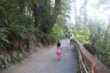Snoqualmie_Falls_17_027_07292017 - Tahia on the trail leading down towards the bottom of the Snoqualmie Falls during our visit in late July 2017