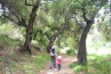Solstice_Canyon_Falls_14_107_04132014 - Julie and Tahia going past some blackened trees along the trail from Solstice Canyon Falls during our April 2014 visit