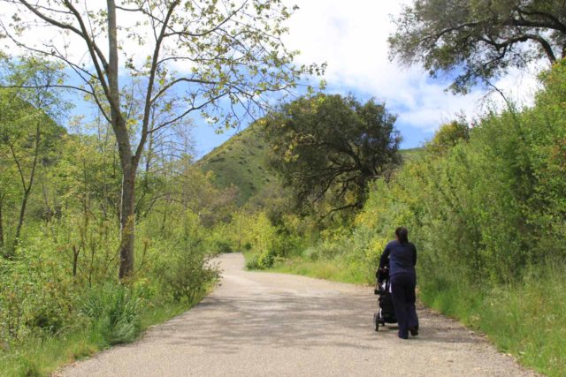 Trying out a hike by taking a stroller with our newborn on the Solstice Canyon Falls Trail