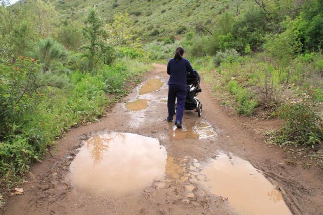 We learned that maybe taking our daughter 'off-roading' with a stroller (as easy and flat as this hike was) perhaps wasn't a good idea