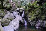 Sonoma_Creek_Falls_045_02212020 - Broad direct look at the Sonoma Creek Falls