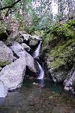Sonoma_Creek_Falls_048_02212020 - Direct look at the Sonoma Creek Falls