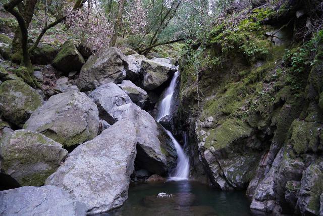 Sonoma_Creek_Falls_059_02212020 - Sonoma Creek Falls