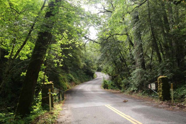 Sonoma_Creek_Falls_083_05222016