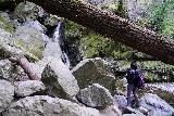 Sonoma_Creek_Falls_108_02212020 - Julie checking out the Sonoma Creek Falls