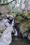 Sonoma_Creek_Falls_113_02212020 - Sonoma Creek Falls