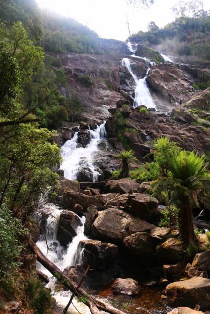 St_Columba_Falls_17_035_11242017 - St Columba Falls