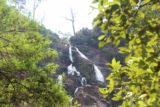 St_Columba_Falls_17_058_11242017 - Partial look back at St Columba Falls before returning to the car park during our November 2017 visit