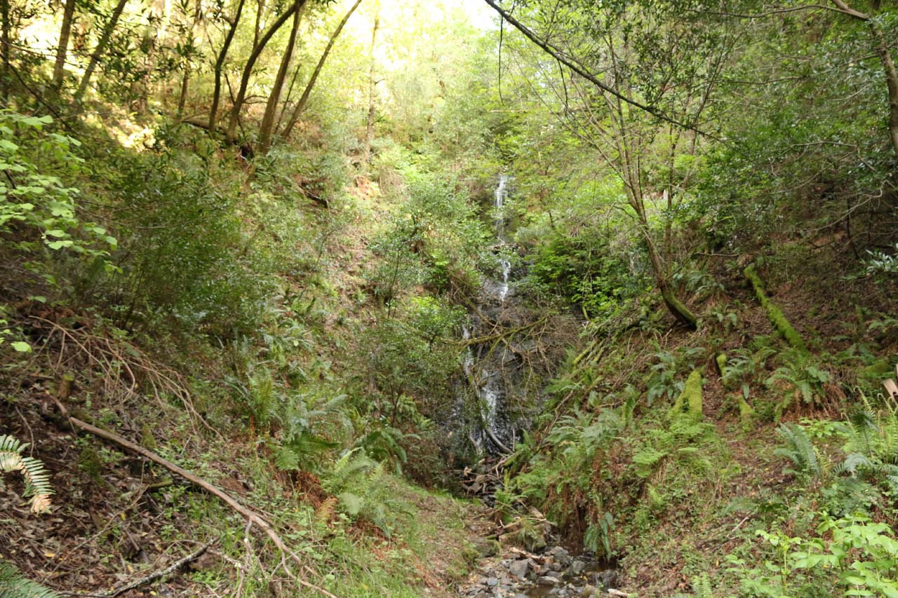 Stairstep Falls was one waterfall near the San Francisco Bay Area that had eluded us over the years for one reason or another. Part of the reason why this waterfall was so elusive over the years...