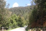 Steavenson_Falls_17_004_11202017 - The wide well-developed walk leading to Steavenson Falls where it seemed like I had to look real closely for evidence of the Black Saturday bush fires