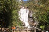Steavenson_Falls_17_034_11202017 - Approaching the end of the short track on the left side of the Steavenson River where I can see part of the Steavenson Falls during my November 2017 visit