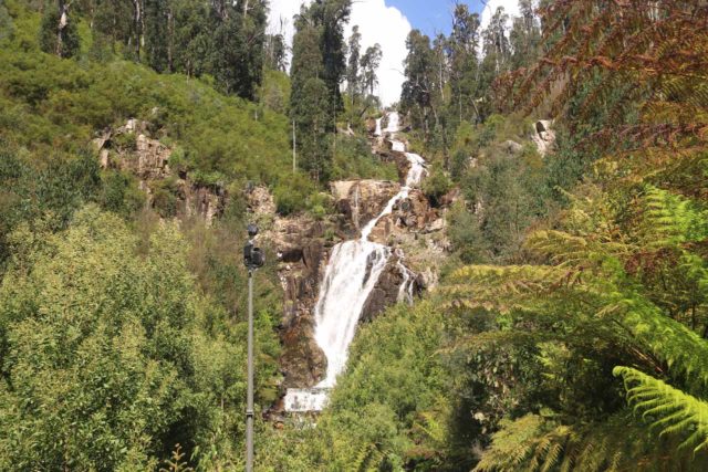 Steavenson_Falls_17_043_11202017 - Steavenson Falls