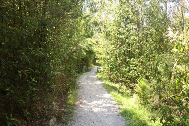 Steavenson_Falls_17_060_11202017 - The somewhat shaded footpath leading closer to the Steavenson Falls as well as the small turbine that provided power for the floodlighting