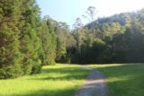 Stevenson_Falls_17_006_11172017 - Shortly after the bridged crossing of the Gellibrand River, the Stevenson Falls track traversed through this attractive clearing as seen during our November 2017 visit