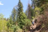 Stewart_Falls_011_05282017 - Following a long caravan of hikers on the narrow Stewart Falls Trail as it was climbing