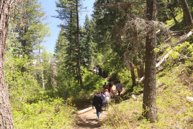 Stewart_Falls_018_05282017 - The Stewarts Cascade Trail from Aspen Grove was very popular