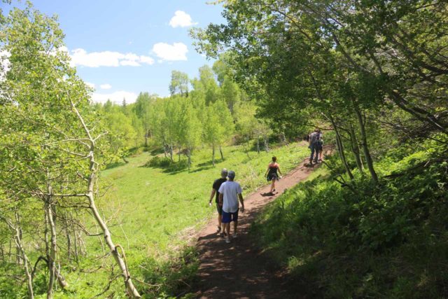 Stewart_Falls_031_05282017 - The Stewart Falls Trail was very busy throughout its two-mile length