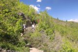 Stewart_Falls_121_05282017 - Continuing on the long uphill hike as I had my fill of Stewart Falls and headed back to the Mt Timpanogos Trailhead