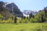 Stewart_Falls_146_05282017 - Looking over a meadow fronting the scenic cirque in the background as seen from the Mt Timpanogos Trailhead