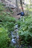 Stony_Creek_Falls_038_07132016 - Crossing the small stream over some rocks