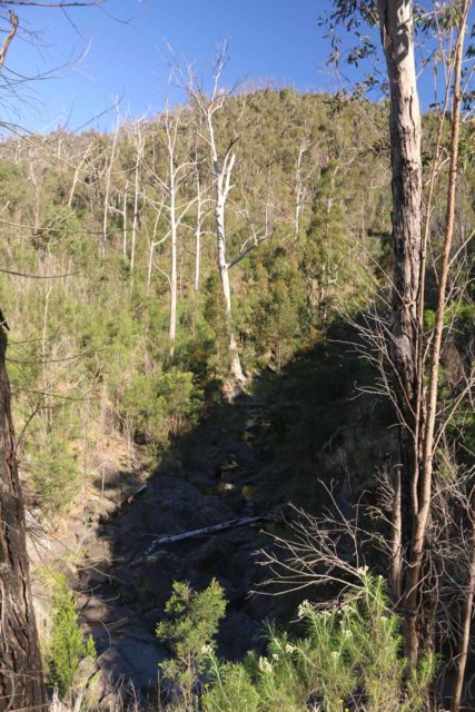 Strath_Creek_Falls_17_024_11192017 - Looking over the brink of Strath Creek Falls at the end of the trail