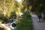 Stuibenfall_045_07192018 - Beyond the Waldcafe, the Stuibenfall Trail now followed alongside the Horlachbach Creek