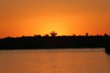 Sunset_Cruise_036_05252008 - Sun setting behind baobab tree