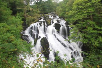 Swallow Falls (Rhaeadr Ewynnol in Welsh [I think pronounced 