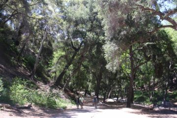 Switzer_Falls_016_04232016