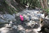 Switzer_Falls_020_04232016 - On our April 2016 visit to Switzer Falls, we let Tahia figure out the creek crossings of Arroyo Seco on her own