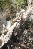 Switzer_Falls_092_04232016 - Following a precarious ledge as I went above the Lower Switzer Falls and pursued the main Switzer Falls during our April 2016 visit