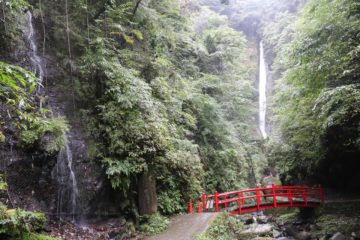 The Syasui Waterfall was a very tall and slender waterfall that seemed to have a bit of a spiritual air to our visit here.  Perhaps the reason why we thought this was that our visit included...