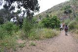 Sycamore_Canyon_Falls_191_06012019 - I think this was a trail junction where the narrower and more overgrown path on the left would have descended on the opposite side of Sycamore Canyon than the way we came from on the right during our June 2019 visit