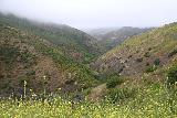 Sycamore_Canyon_Falls_195_06012019 - Looking into Sycamore Canyon as we were returning from Sycamore Canyon Falls in June 2019