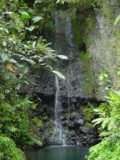 Tahiti_4x4_069_09092002 - A pretty waterfall on the Vaihiria River Valley side