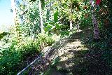 Talofofo_Falls_114_11192022 - Ascending steps on the track leading down to the Yokoi Cave