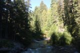 Tamanawas_Falls_009_08182017 - Looking upstream from the footbridge over the East Fork of the Hood River on the Tamanawas Falls Trail