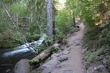 Tamanawas_Falls_029_08182017 - The Tamanawas Falls Trail continuing to follow Cold Springs Creek upstream