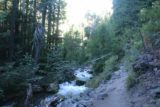 Tamanawas_Falls_036_08182017 - The Tamanawas Falls Trail continuing to skirt alongside Cold Springs Creek with some intermediate cascades along the way