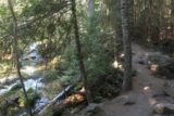 Tamanawas_Falls_040_08182017 - Hiking alongside the Cold Springs Creek en route to Tamanawas Falls