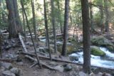 Tamanawas_Falls_164_08182017 - Back at the footbridge over Cold Springs Creek